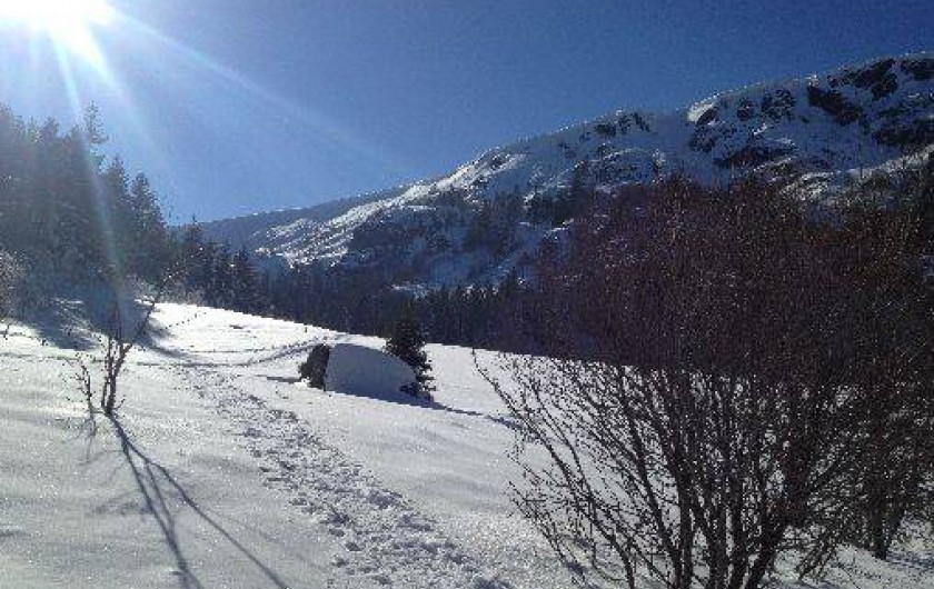 Location de vacances - Maison - Villa à Orbey