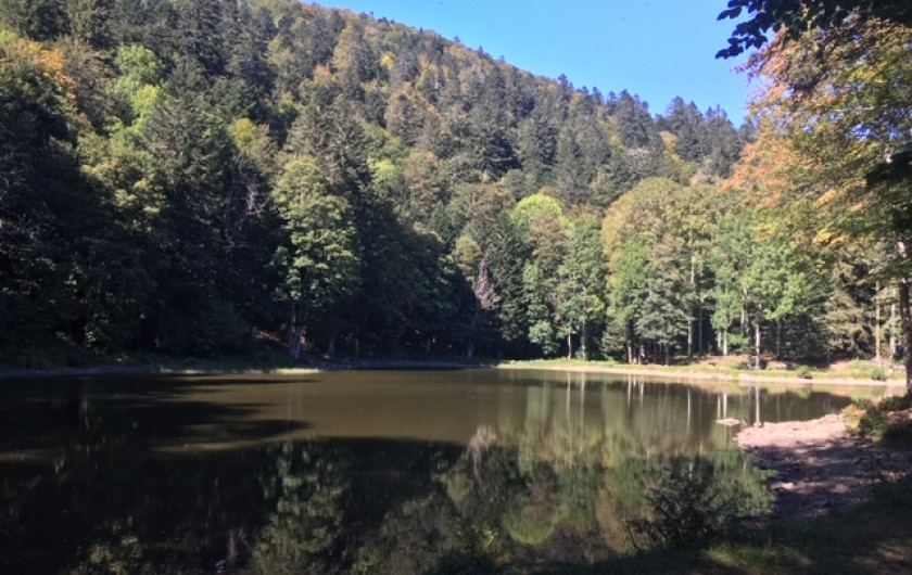 Location de vacances - Maison - Villa à Orbey