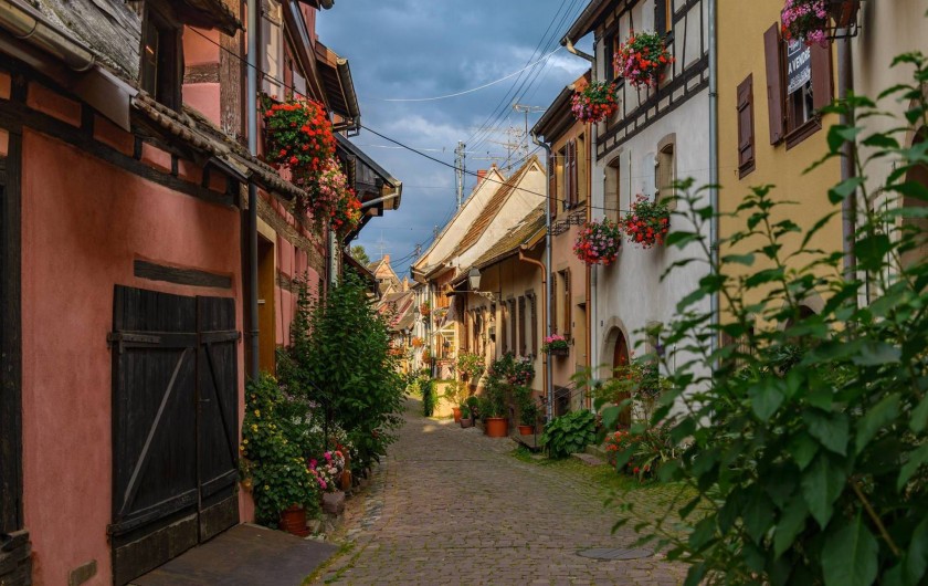 Location de vacances - Gîte à Eguisheim