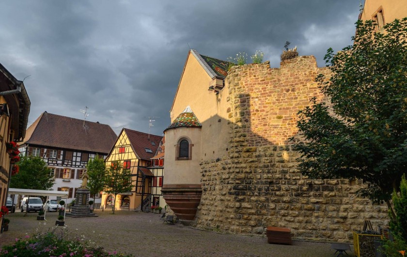 Location de vacances - Gîte à Eguisheim