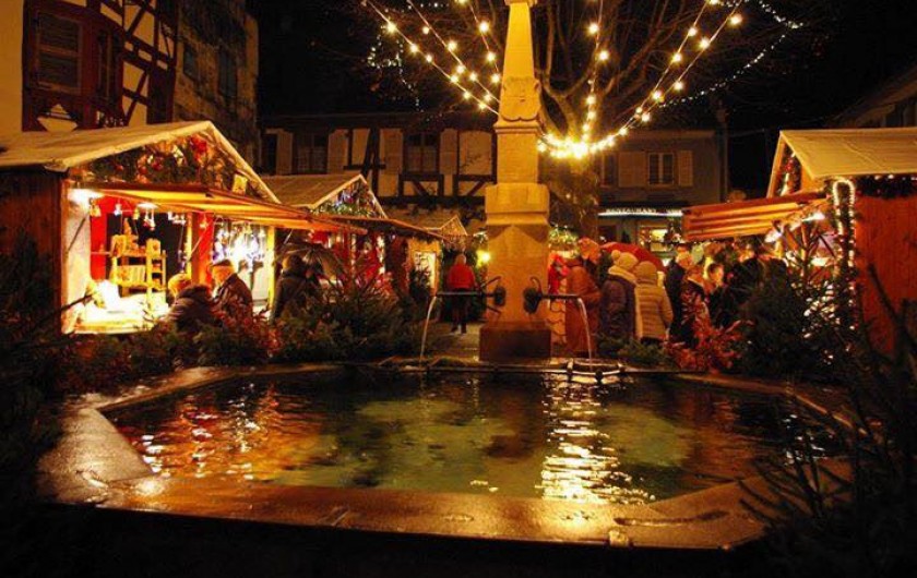 Location de vacances - Gîte à Eguisheim