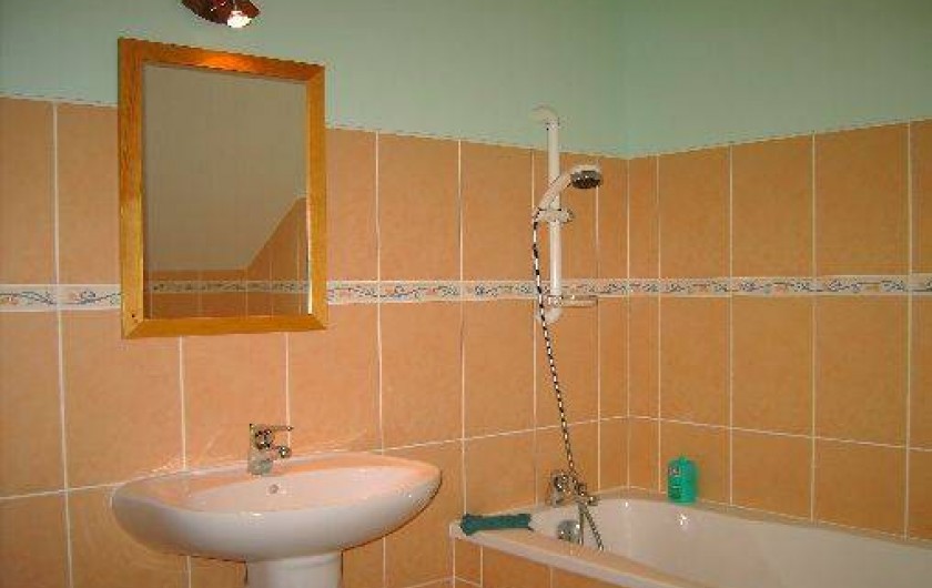 Location de vacances - Gîte à La Chapelle-Saint-Martin-en-Plaine