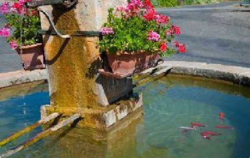 Location de vacances - Gîte à Sévérac-le-Château