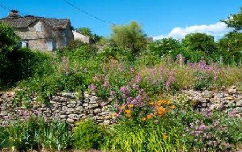 Location de vacances - Gîte à Sévérac-le-Château