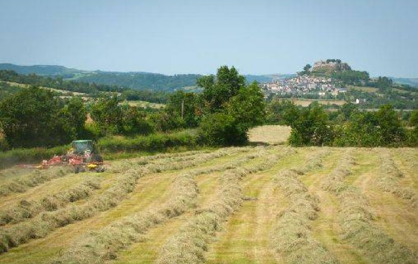 Location de vacances - Gîte à Sévérac-le-Château