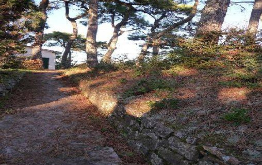 Location de vacances - Villa à La Tranche-sur-Mer