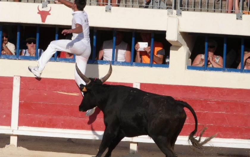 Location de vacances - Appartement à Port Camargue