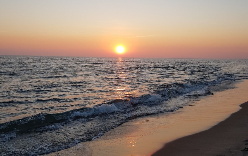 Location de vacances - Appartement à Port Camargue