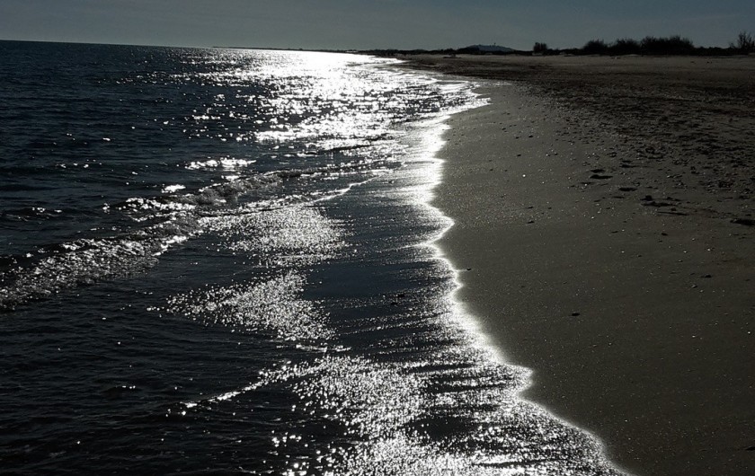 Location de vacances - Appartement à Port Camargue