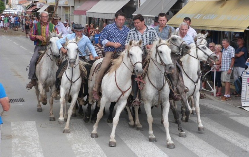Location de vacances - Appartement à Port Camargue
