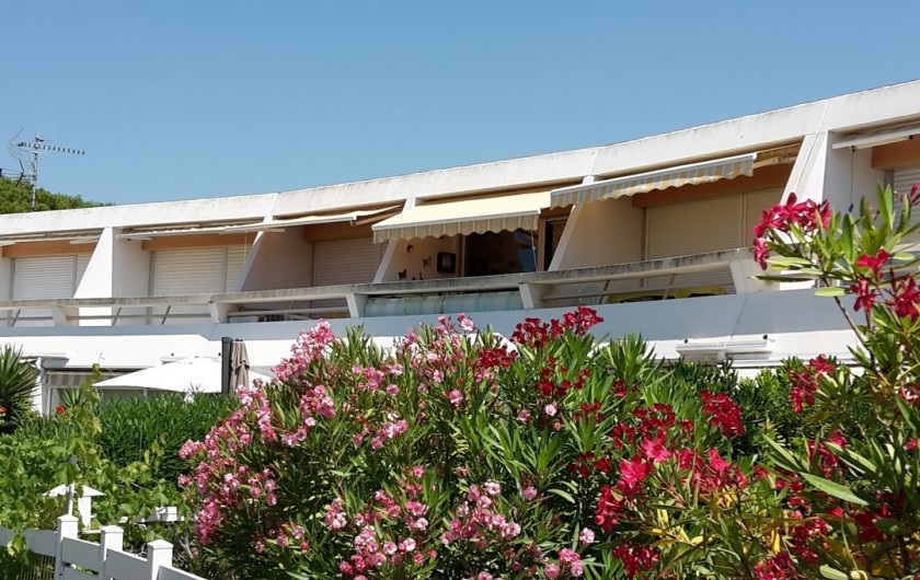 Location de vacances - Appartement à Port Camargue