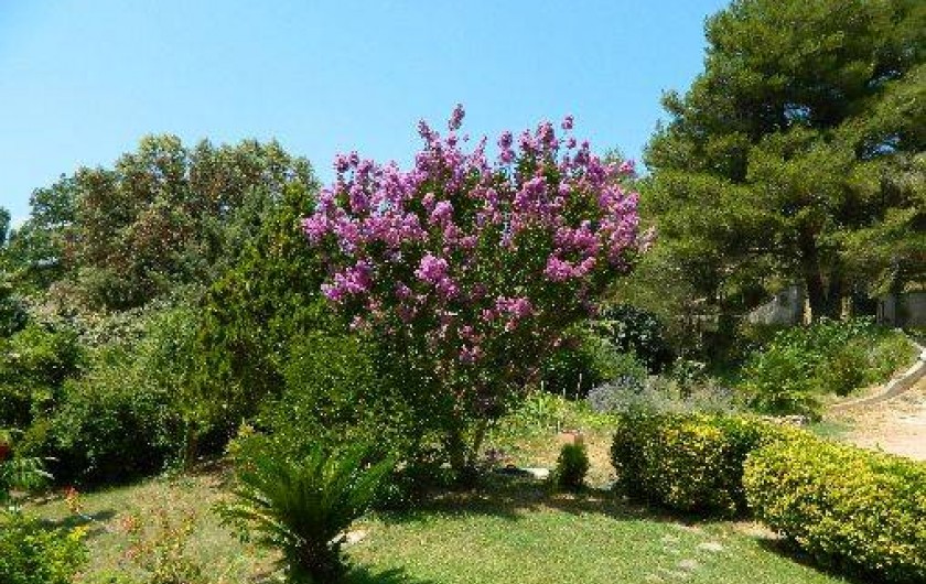 Location de vacances - Mas à Peyrolles-en-Provence