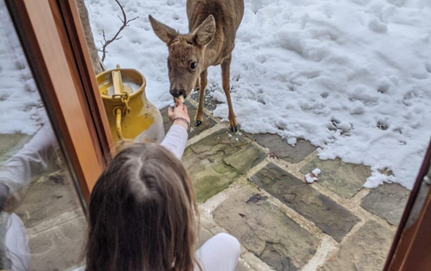 Location de vacances - Gîte à Arrentès-de-Corcieux - Grand moment pour le chevreuil et la petite fille