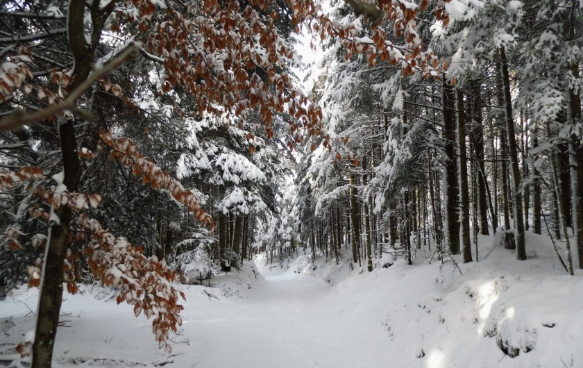 Location de vacances - Gîte à Arrentès-de-Corcieux