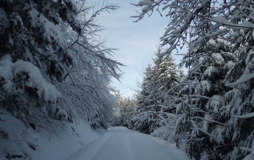 Location de vacances - Gîte à Arrentès-de-Corcieux