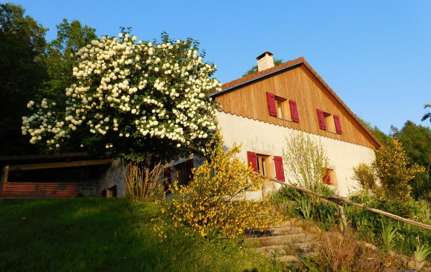 Location de vacances - Gîte à Arrentès-de-Corcieux - le gite façade sud