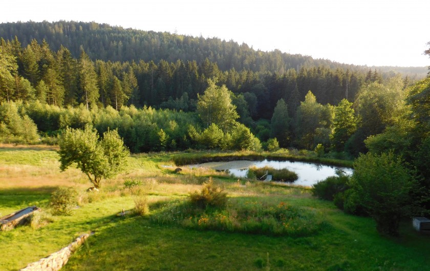 Location de vacances - Gîte à Arrentès-de-Corcieux - terrain et l'étang en contre-bas