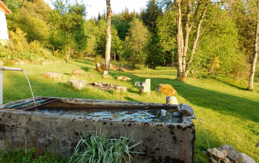 Location de vacances - Gîte à Arrentès-de-Corcieux - eau de source