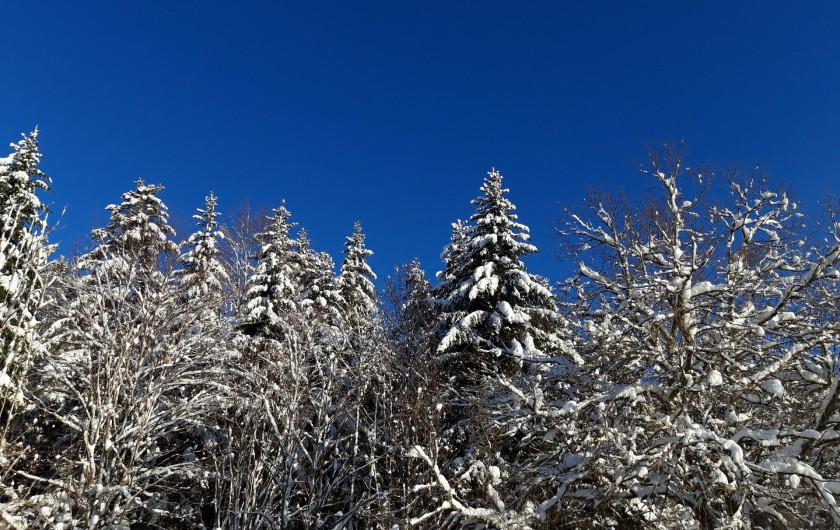 Location de vacances - Gîte à Arrentès-de-Corcieux