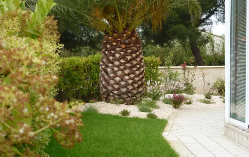 Location de vacances - Appartement à Saint-Cyprien Plage