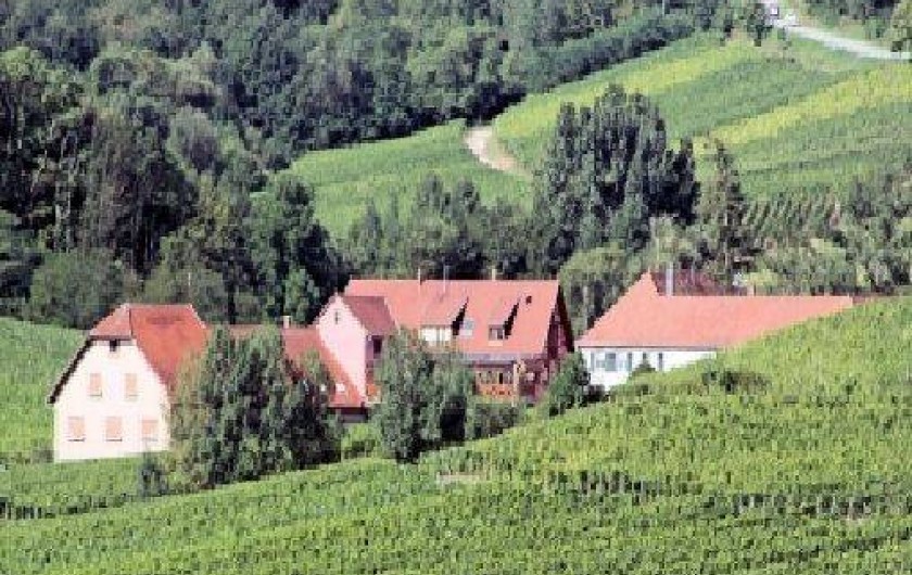 Location de vacances - Gîte à Nothalten