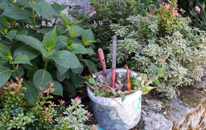 Location de vacances - Chambre d'hôtes à Saint-Martin-le-Vieil