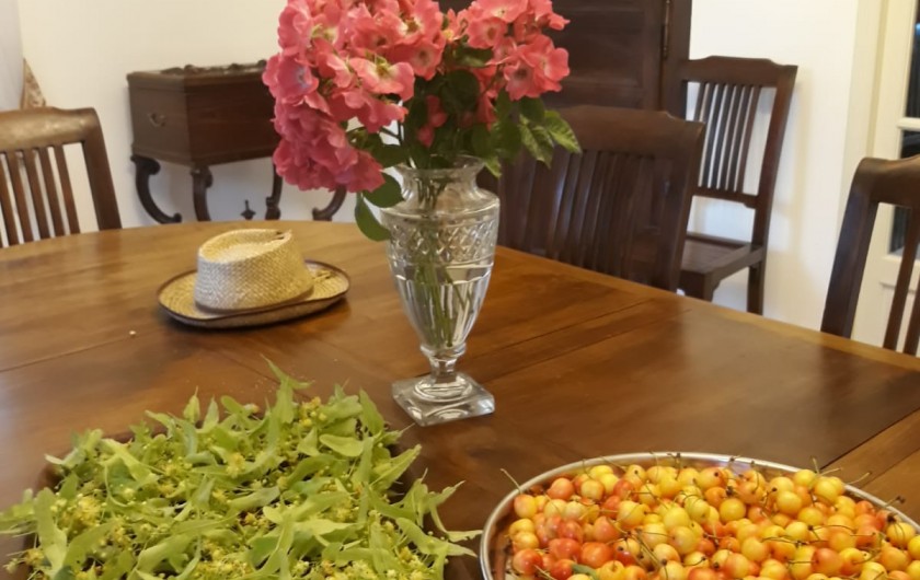 Location de vacances - Chambre d'hôtes à Saint-Martin-le-Vieil - Tilleul et cerises