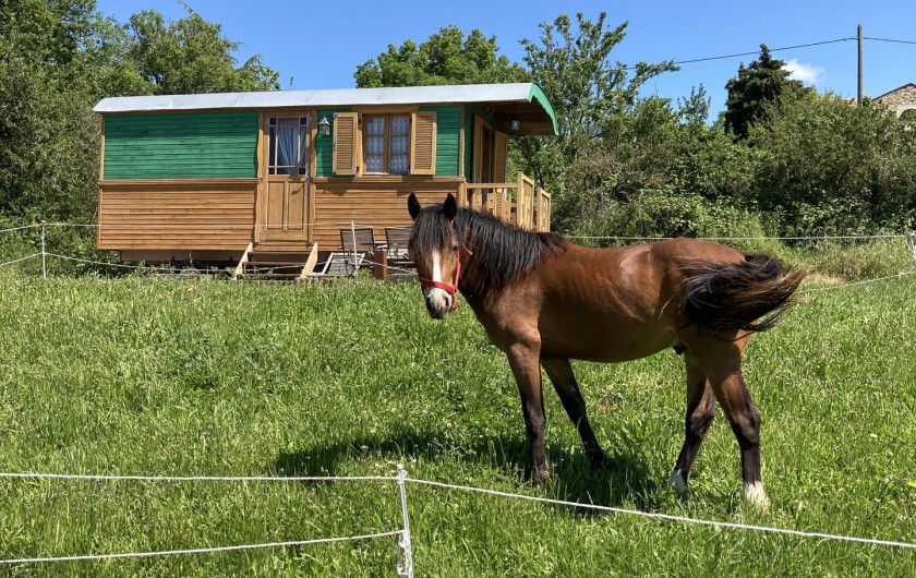 Location de vacances - Appartement à Saissac - Igloo devant la roulotte