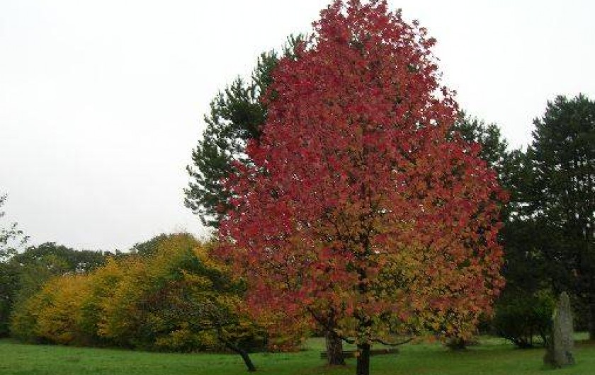 Location de vacances - Gîte à Saint-Gelven
