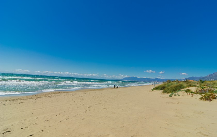 Location de vacances - Chalet à Marbella - Plage de Playa el Alicate avec des vagues modérées et sans rochers