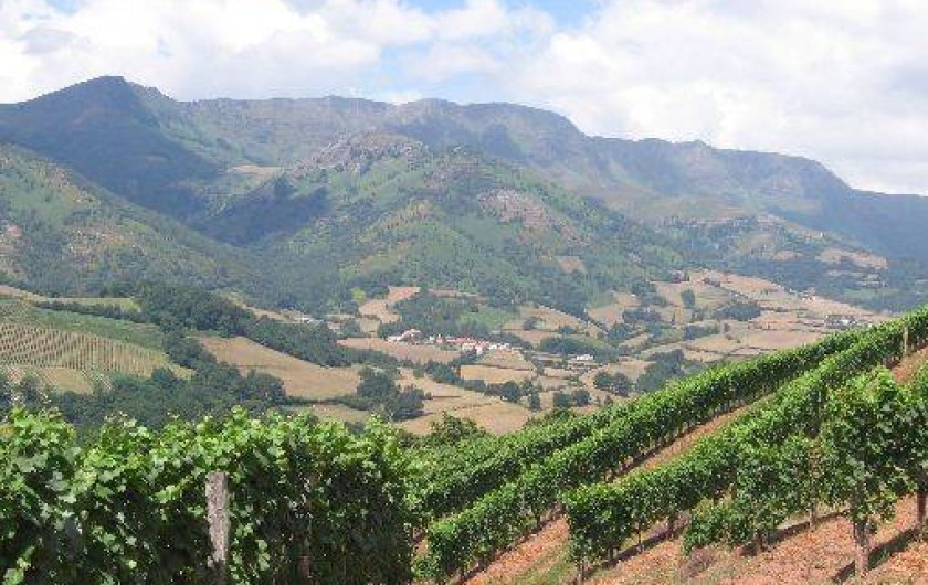 Location de vacances - Gîte à Saint-Étienne-de-Baïgorry - Vigne Bourmalatx  appellation Irouléguy