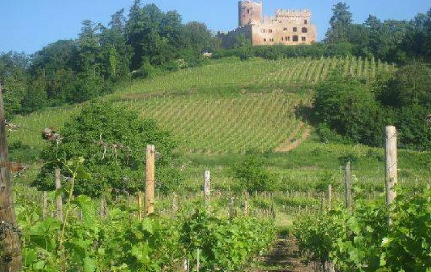 Location de vacances - Gîte à Kintzheim