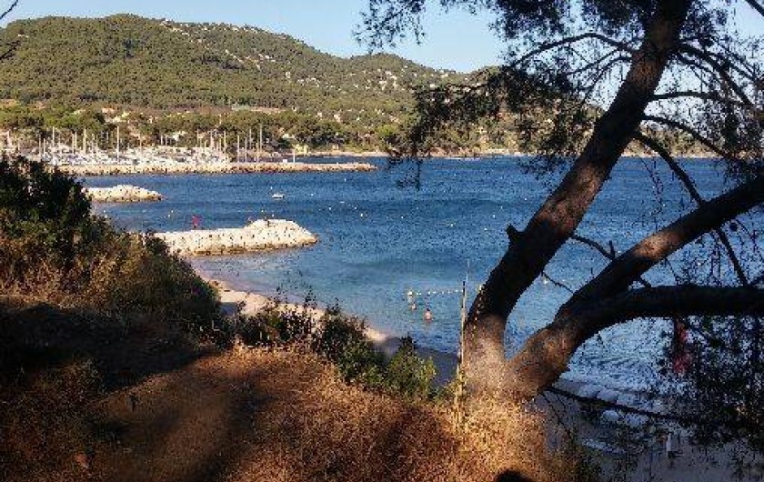 Location de vacances - Appartement à Carqueiranne