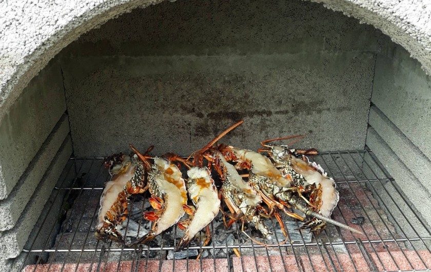Location de vacances - Appartement à Fort-de-France