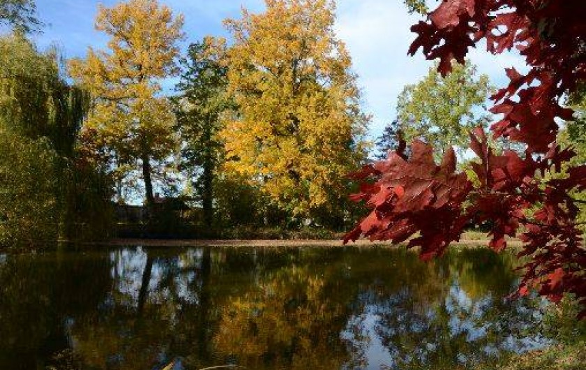 Location de vacances - Gîte à Mornand-en-Forez