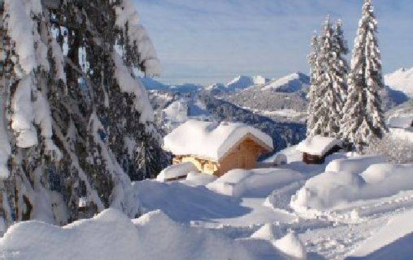 Location de vacances - Chalet à Morzine