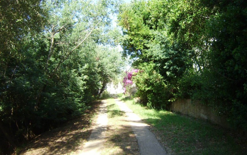 Location de vacances - Gîte à Alata - L'allée d'accès au gîte