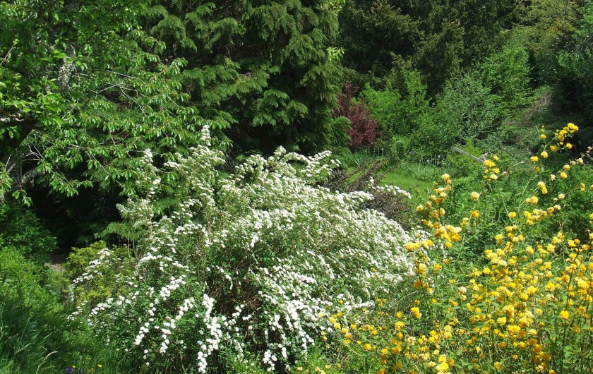 Location de vacances - Chambre d'hôtes à Saint-Laurent-de-Lévézou - Jardin au printemps