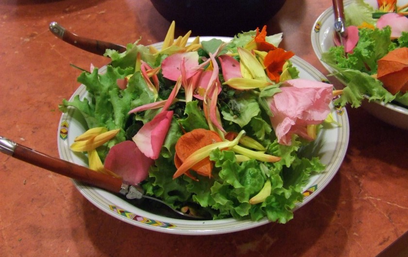 Location de vacances - Chambre d'hôtes à Saint-Laurent-de-Lévézou - Salade aux fleurs