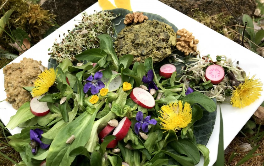 Location de vacances - Chambre d'hôtes à Saint-Laurent-de-Lévézou - Assiette composée terrine aux plantes sauvages