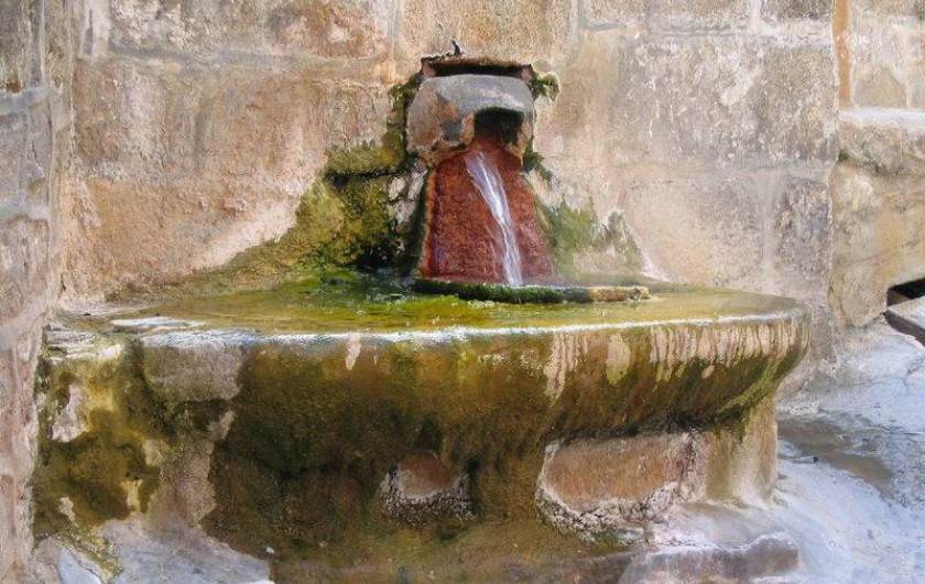 Location de vacances - Gîte à Saint-Flour - Chaudes-Aigues - source du Par