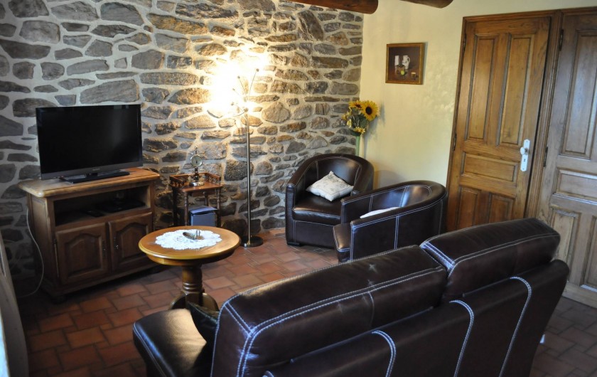Location de vacances - Gîte à Saint-Flour - salon avec téléviseur