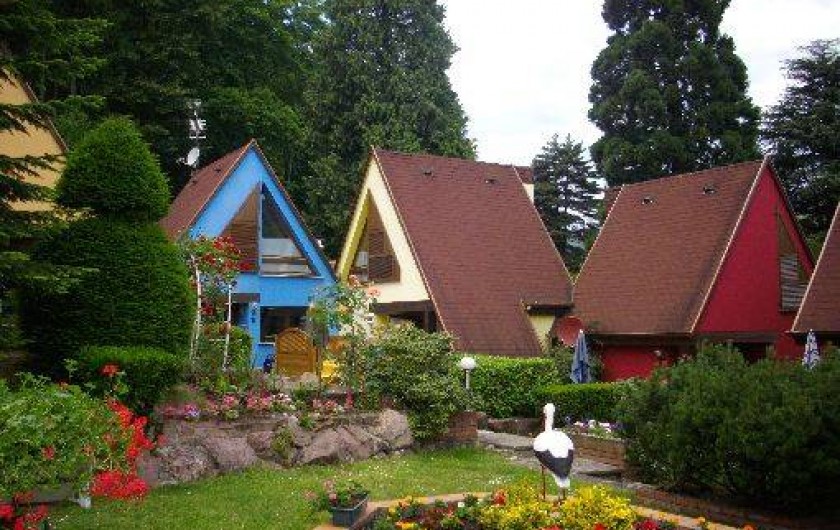 Location de vacances - Gîte à Kaysersberg - Résidence La Sapinière et son parc au centre