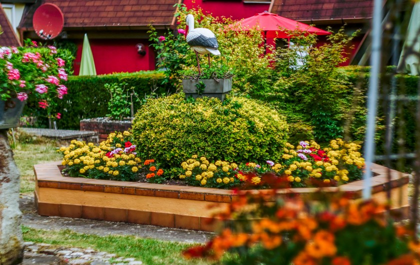 Location de vacances - Gîte à Kaysersberg - Le parc fleuri au centre de la Résidence