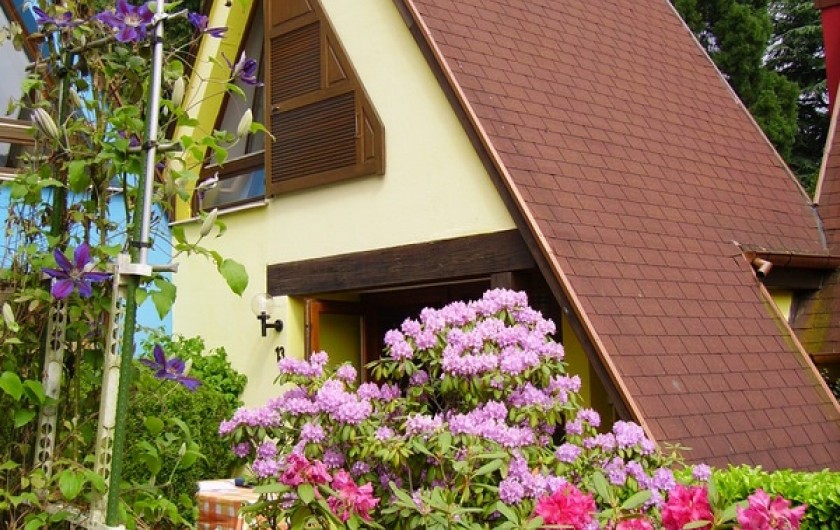 Location de vacances - Gîte à Kaysersberg - Pavillon Muscat