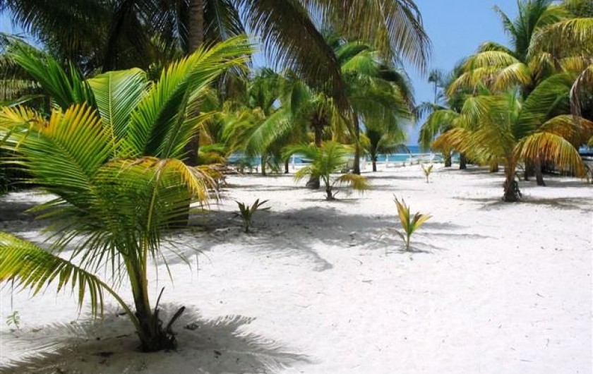 Location de vacances - Villa à Saint-François