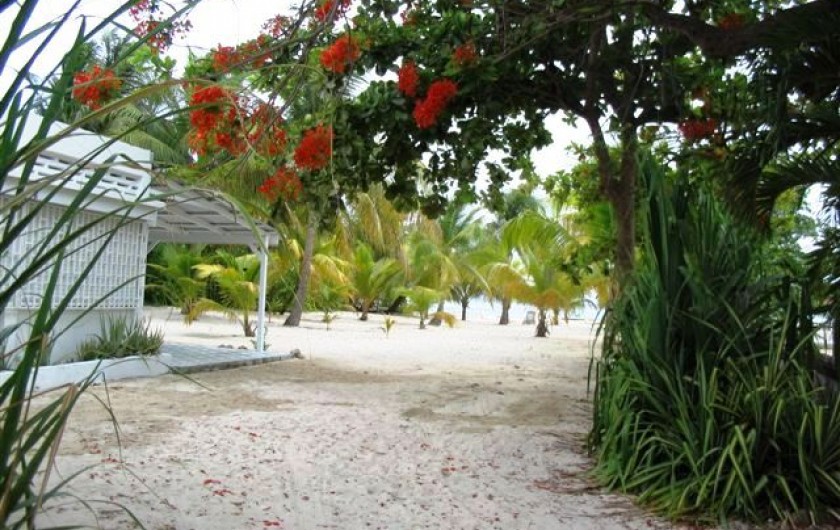 Location de vacances - Villa à Saint-François