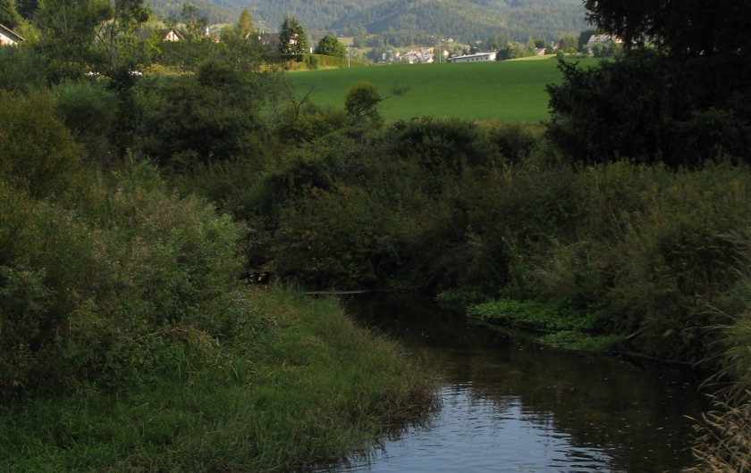 Location de vacances - Appartement à Villard-de-Lans