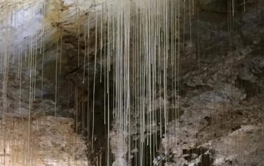 Location de vacances - Appartement à Villard-de-Lans