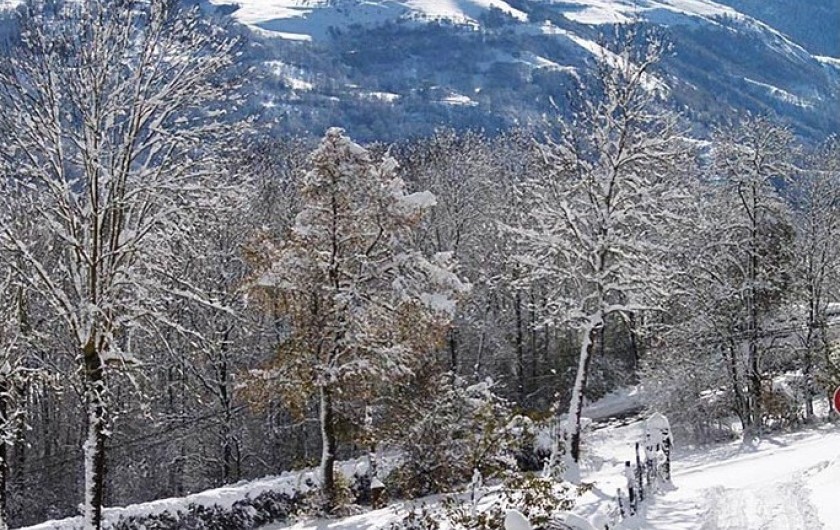 Location de vacances - Gîte à Vielle-Louron